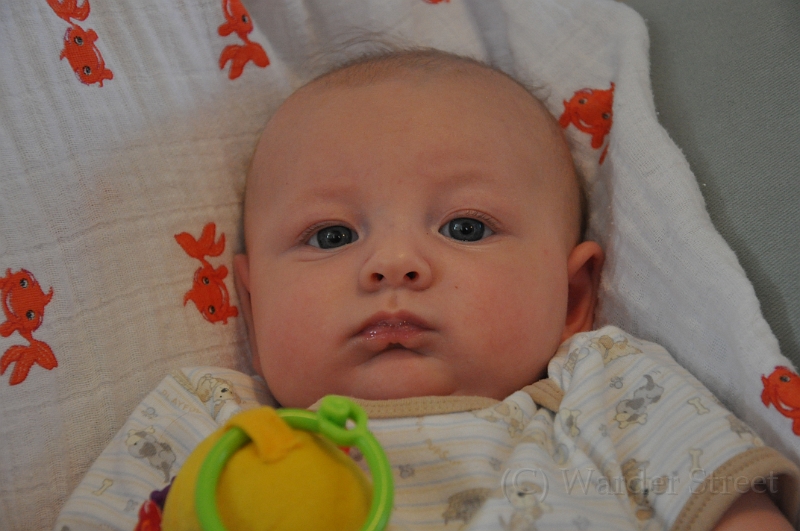 William's Eleventh Week 29.jpg